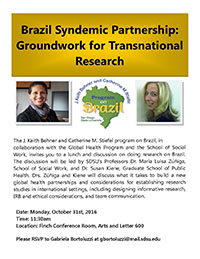 Brazil Syndemic Partnership: Groundwork for Transnational Research