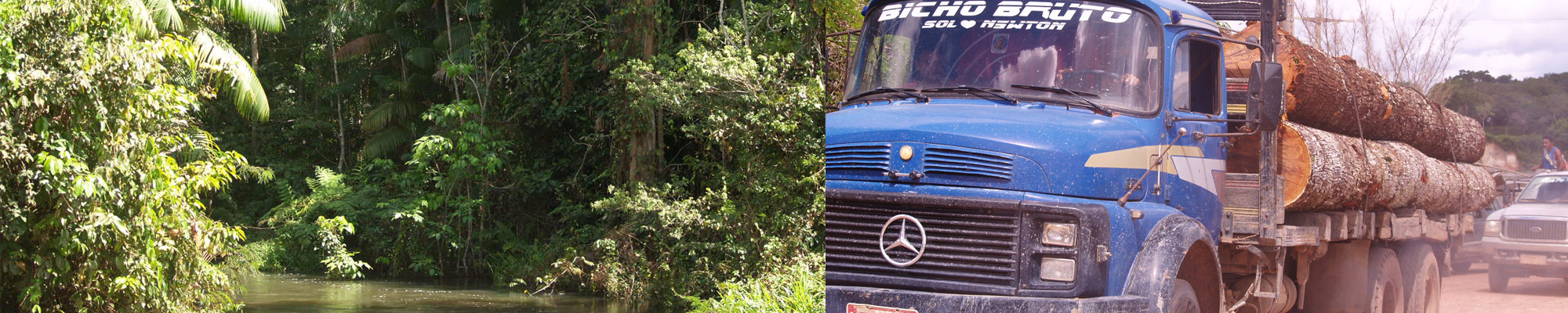 left: Brazilian rainforest, right: logging truck