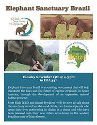 Elephant Sanctuary Brazil
