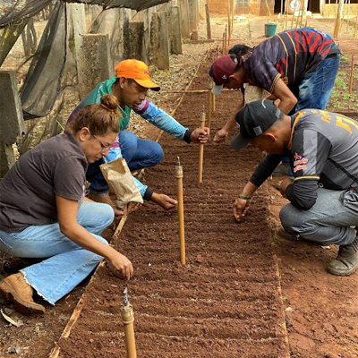 group of people planting