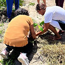 youth planting